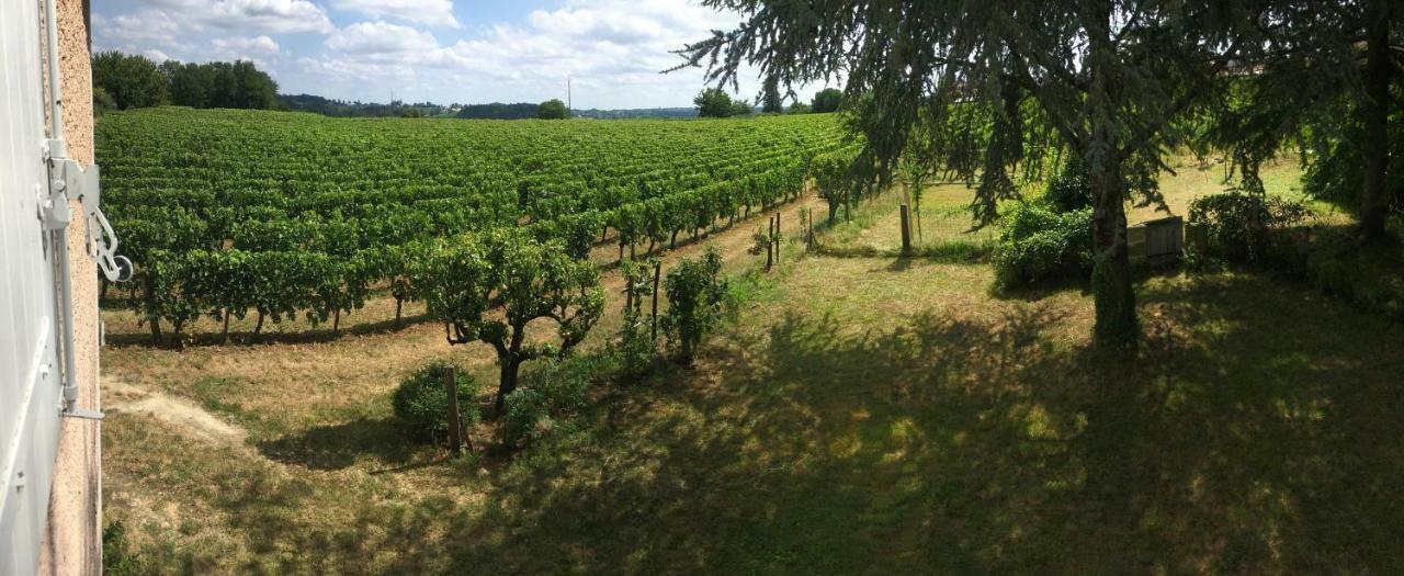 Mirande Montagne-Saint Emilion Leilighet Montagne  Eksteriør bilde